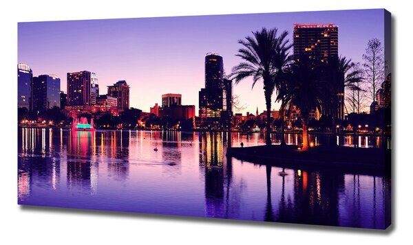Foto obraz na plátně Orlando USA oc-40340375