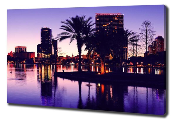 Foto obraz na plátně Orlando USA oc-40340375
