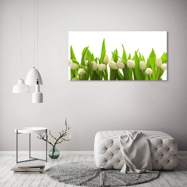 Foto obraz na plátně do obýváku Bílé tulipány oc-40774643