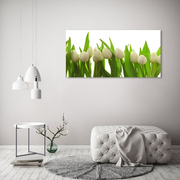 Foto-obrah sklo tvrzené Bílé tulipány osh-40774671