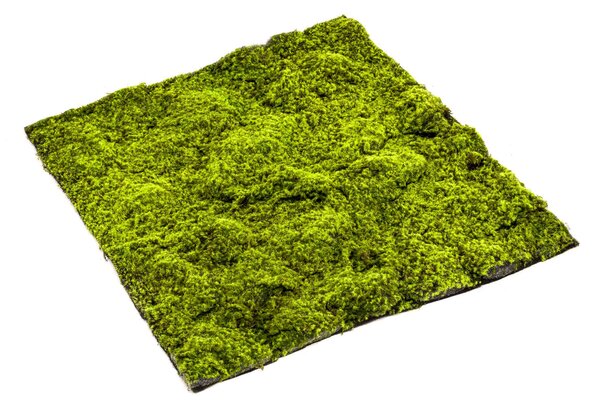 Umělý mech Sphagnum, 100 x 100cm