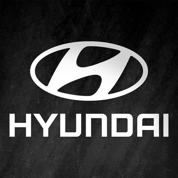 DUBLEZ | Dřevěné logo auta na zeď - Hyundai | Obraz