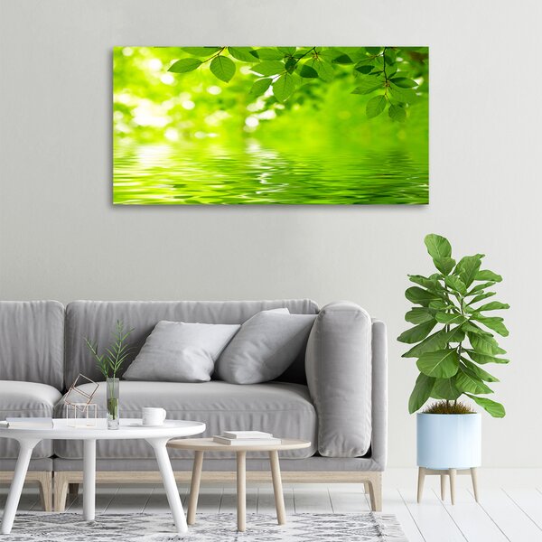 Moderní obraz canvas na rámu Zelené listí oc-41296480