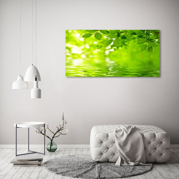 Moderní obraz canvas na rámu Zelené listí oc-41296480
