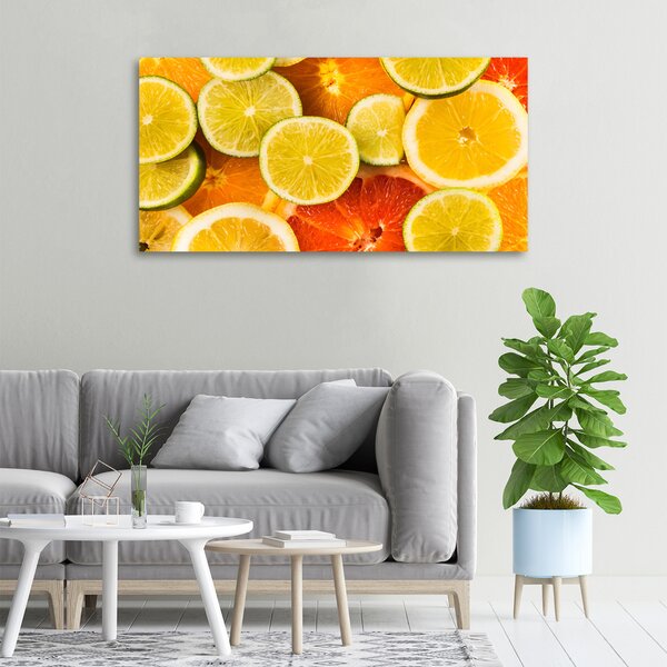Foto obraz na plátně do obýváku Citrusové ovoce oc-41404635