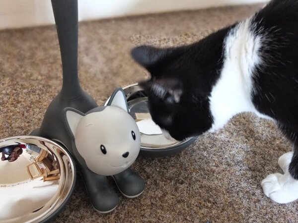 Alessi designové misky pro kočky Tigrito
