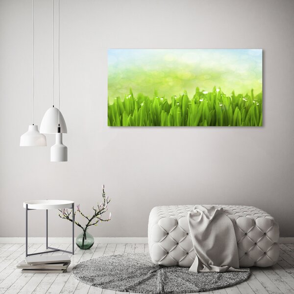 Foto obraz skleněný horizontální Tráva osh-42253578