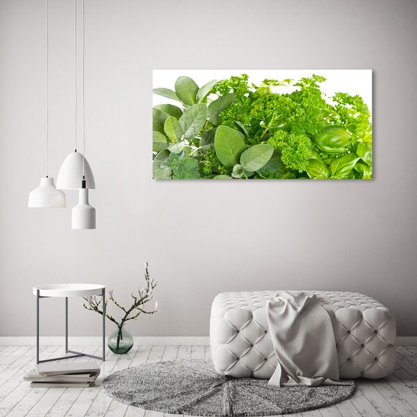 Foto obraz skleněný horizontální Byliny osh-42979948