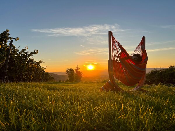 HOUPACÍ SÍŤ La Siesta - Online Only zahradní nábytek, Online Only