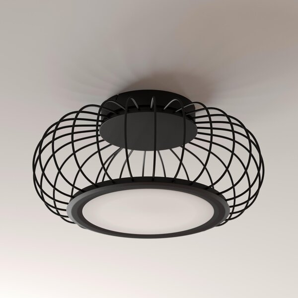 STROPNÍ LED SVÍTIDLO, 55/23 cm Dieter Knoll - Stropní svítidla