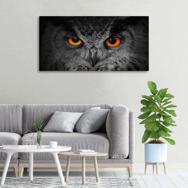 Moderní fotoobraz canvas na rámu Oči sovy oc-43647000