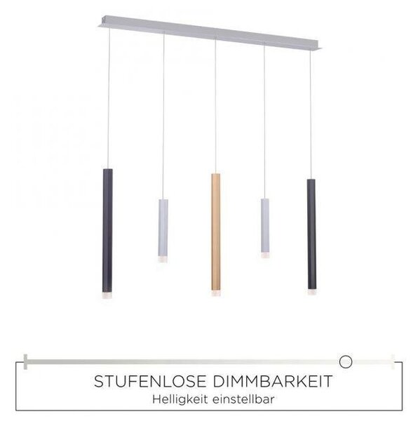 Paul Neuhaus Závěsné LED svítidlo PURE-GEMIN, 27W, d. 100 cm, 3000K stmívatelné SimplyDim a nastavitelnou výškou