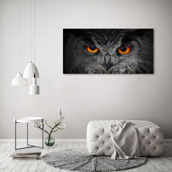 Moderní fotoobraz canvas na rámu Oči sovy oc-43647000