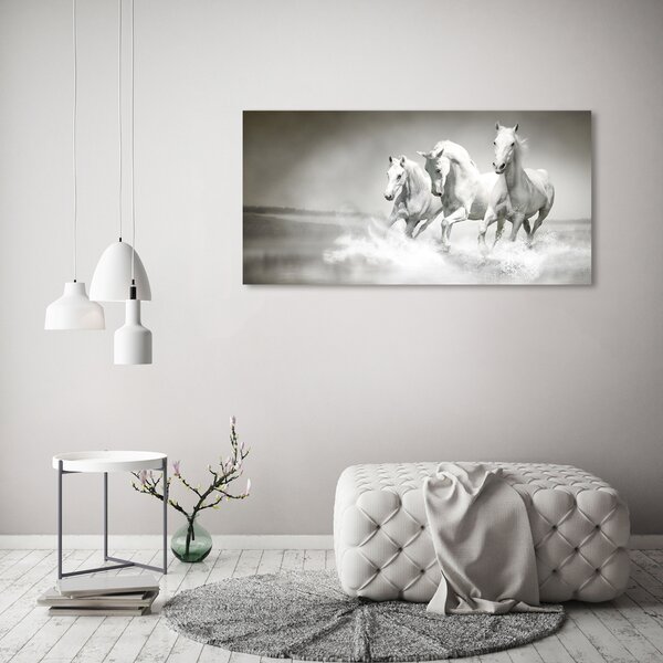 Foto obraz canvas Bílí koně oc-44040199