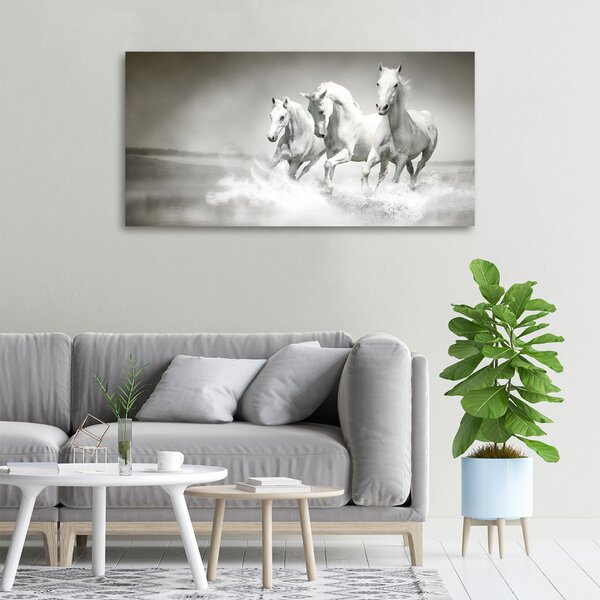 Foto obraz canvas Bílí koně oc-44040199