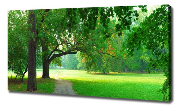 Foto obraz na plátně Podzimní park oc-45444718