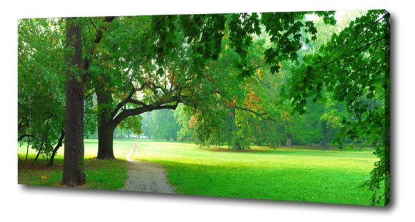 Foto obraz na plátně Podzimní park oc-45444718