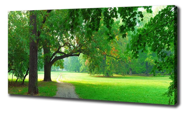 Foto obraz na plátně Podzimní park oc-45444718