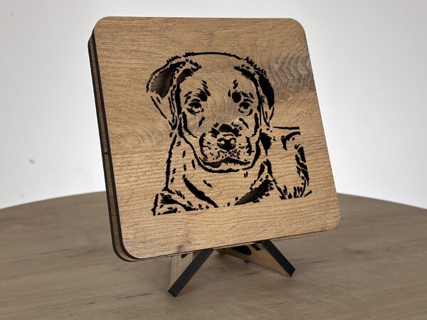 "Štěně" lampa 19x19cm provedení povrchu: dub