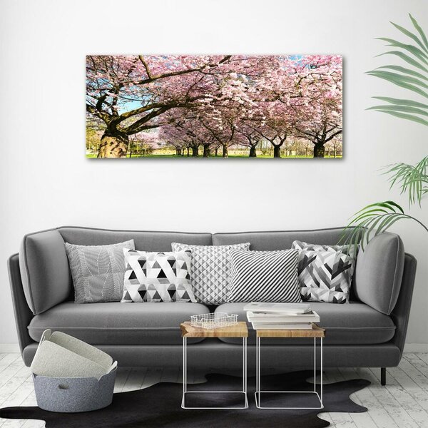 Foto obraz canvas Višně oc-48048781