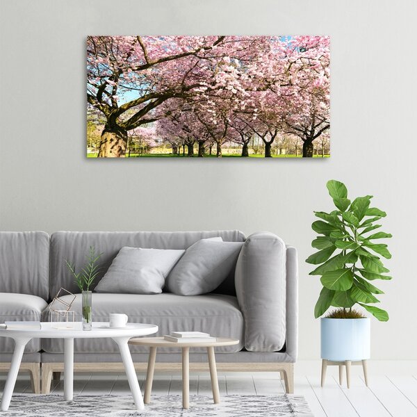 Foto obraz canvas Višně oc-48048781