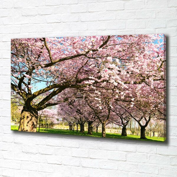 Foto obraz canvas Višně oc-48048781