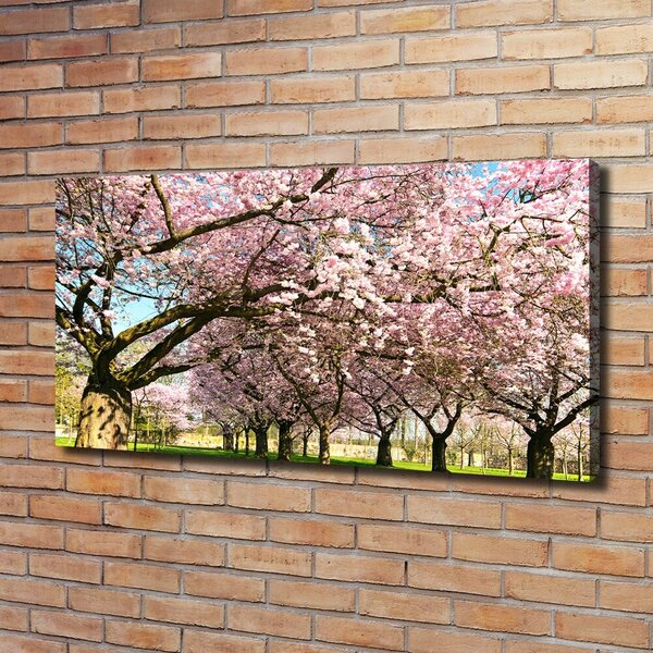 Foto obraz canvas Višně oc-48048781