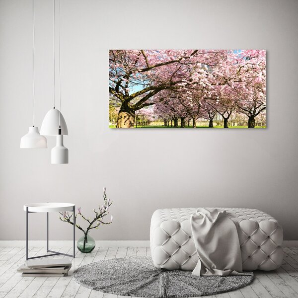 Foto obraz canvas Višně oc-48048781