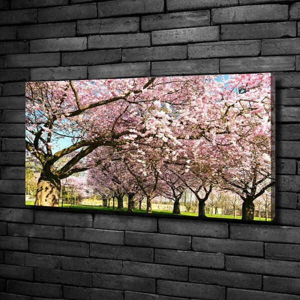 Foto obraz canvas Višně oc-48048781