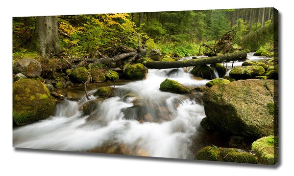 Foto obraz na plátně Olčiský potok oc-48996264