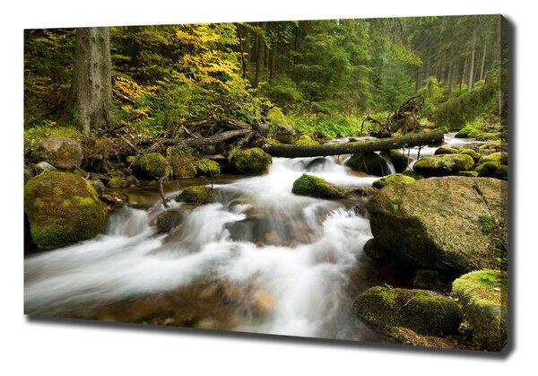 Foto obraz na plátně Olčiský potok oc-48996264