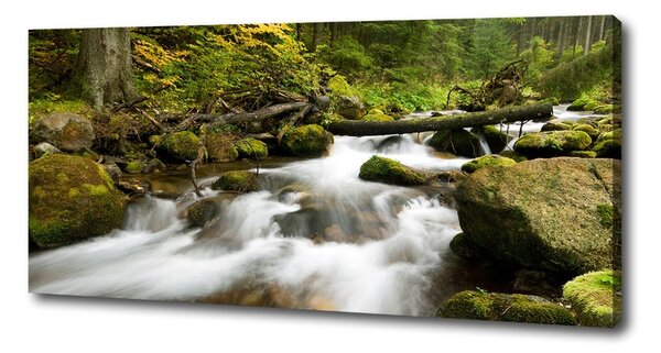 Foto obraz na plátně Olčiský potok oc-48996264