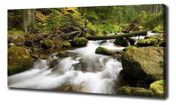Foto obraz na plátně Olčiský potok oc-48996264