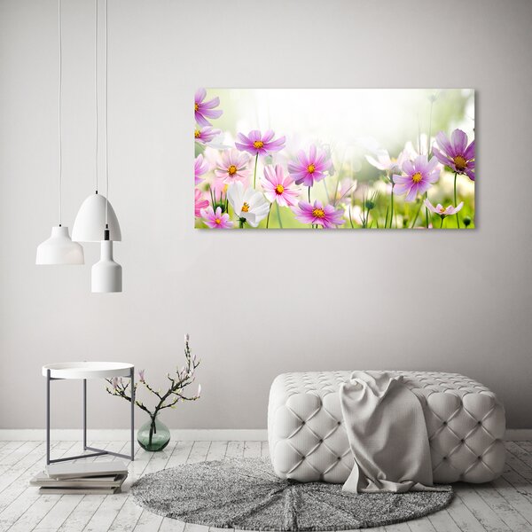 Foto obraz canvas Květiny na louce oc-49015861