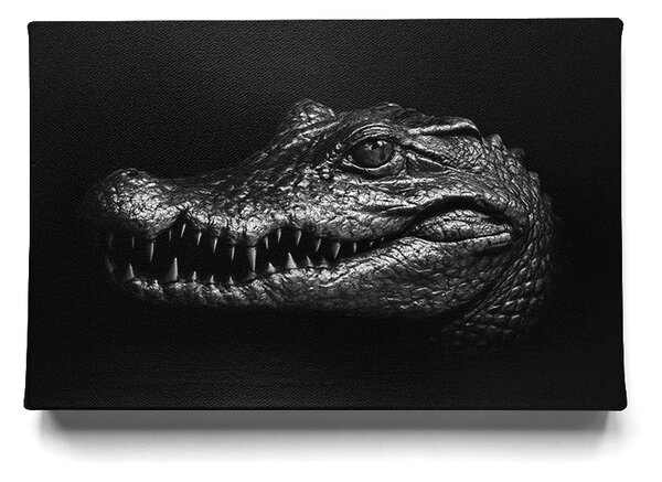 KRAFTHOUSE.EU Krokodýl – Luxusní obraz na plátno Premium Canvas | 100% bavlna | Různé rozměry Velikost: 30 x 20 cm