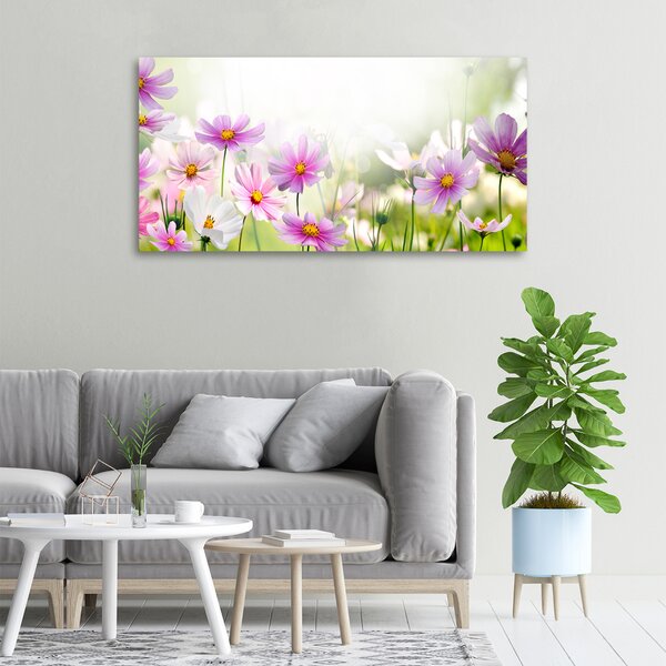 Foto obraz canvas Květiny na louce oc-49015861