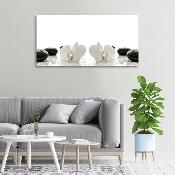 Foto obraz na plátně do obýváku Orchidej oc-49248021