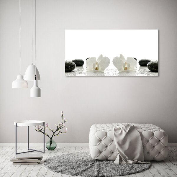 Foto-obrah sklo tvrzené Orchidej osh-49248021