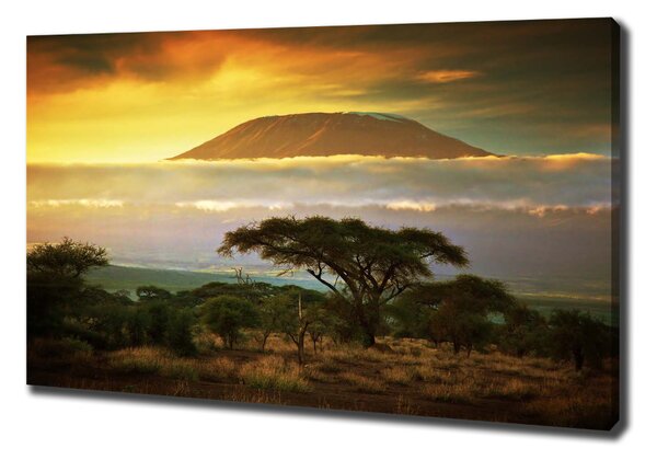 Foto obraz na plátně Kilimanjaro Kenya oc-49494611