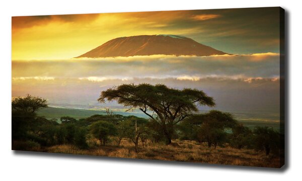 Foto obraz na plátně Kilimanjaro Kenya oc-49494611