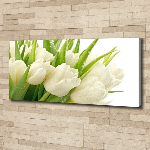 Foto obraz tištěný na plátně Bílé tulipány oc-49549577