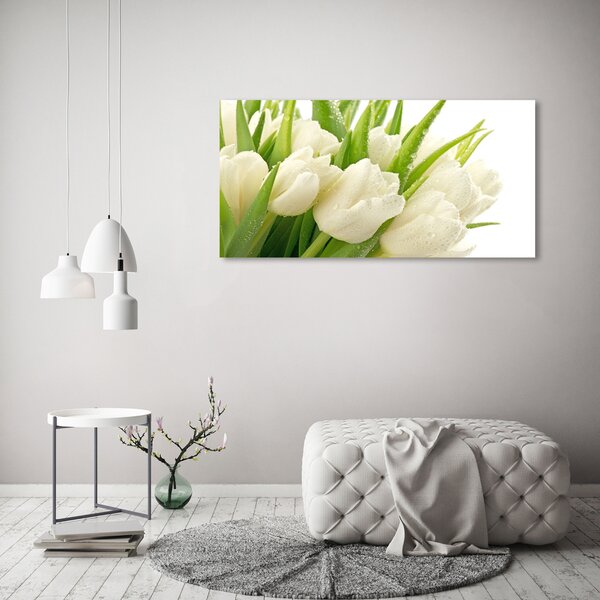 Foto obraz tištěný na plátně Bílé tulipány oc-49549577