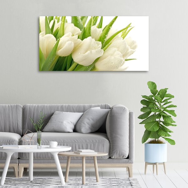 Foto obraz tištěný na plátně Bílé tulipány oc-49549577