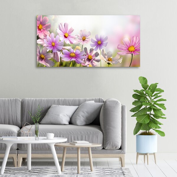 Foto obraz canvas Květiny na louce oc-50039707