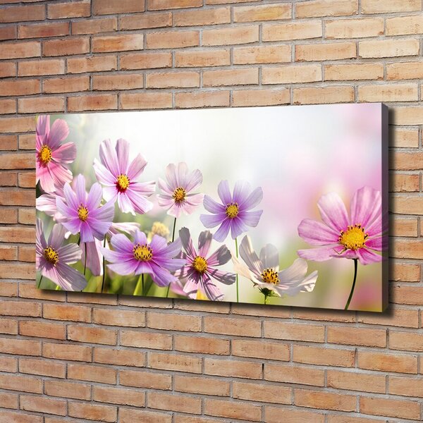 Foto obraz canvas Květiny na louce oc-50039707