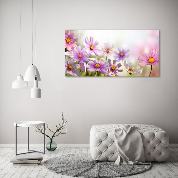 Foto obraz canvas Květiny na louce oc-50039707