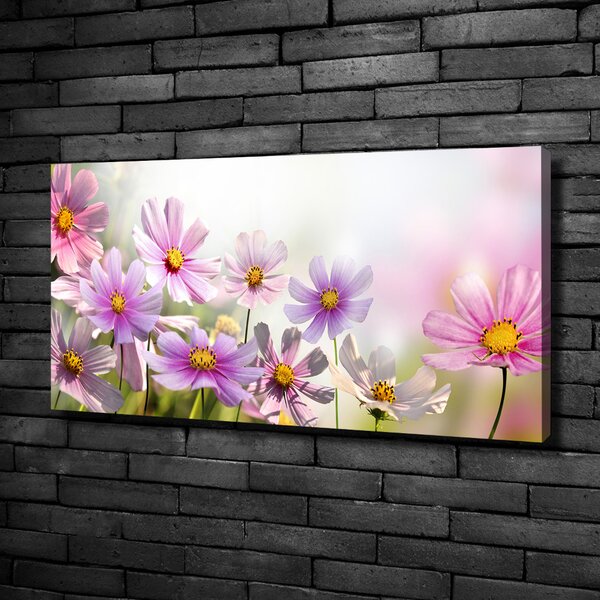 Foto obraz canvas Květiny na louce oc-50039707