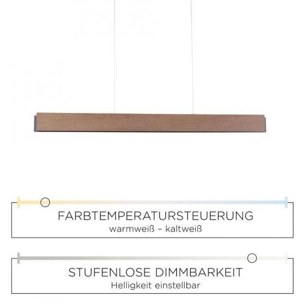 Paul Neuhaus Závěsné LED svítidlo PALMA, 43W, d. 121 cm, CCT 2700-5000K