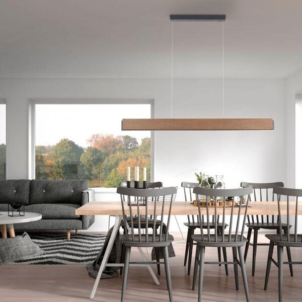 Paul Neuhaus Závěsné LED svítidlo PALMA, 43W, d. 121 cm, CCT 2700-5000K