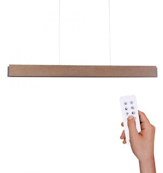 Paul Neuhaus Závěsné LED svítidlo PALMA, 43W, d. 121 cm, CCT 2700-5000K
